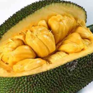 Jackfruit
